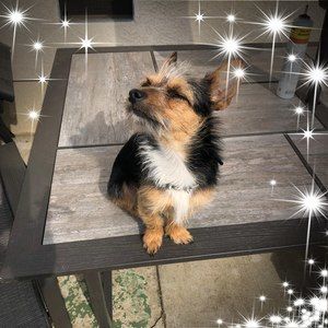 Meet your Posher, Angie